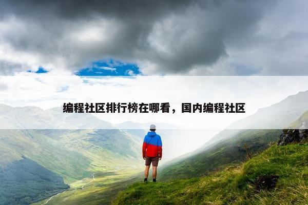 编程社区排行榜在哪看，国内编程社区