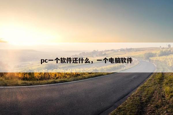 pc一个软件还什么，一个电脑软件