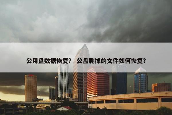 公用盘数据恢复？ 公盘删掉的文件如何恢复？