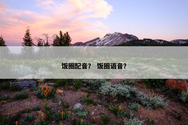 饭圈配音？ 饭圈语音？