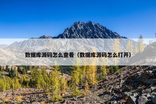 数据库源码怎么查看（数据库源码怎么打开）