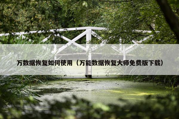 万数据恢复如何使用（万能数据恢复大师免费版下载）