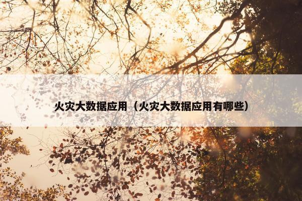 火灾大数据应用（火灾大数据应用有哪些）