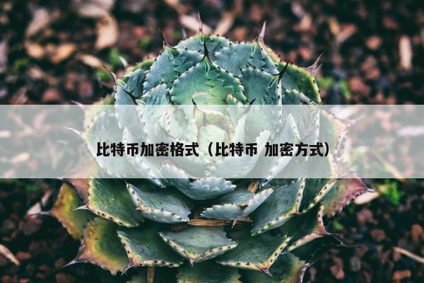 比特币加密格式（比特币 加密方式）