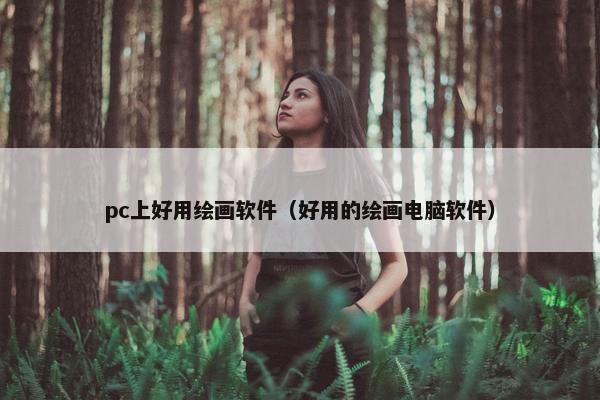 pc上好用绘画软件（好用的绘画电脑软件）