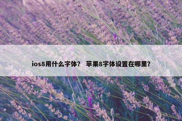 ios8用什么字体？ 苹果8字体设置在哪里？