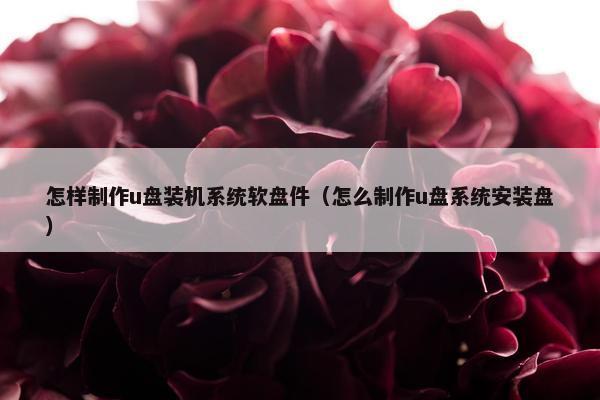 怎样制作u盘装机系统软盘件（怎么制作u盘系统安装盘）