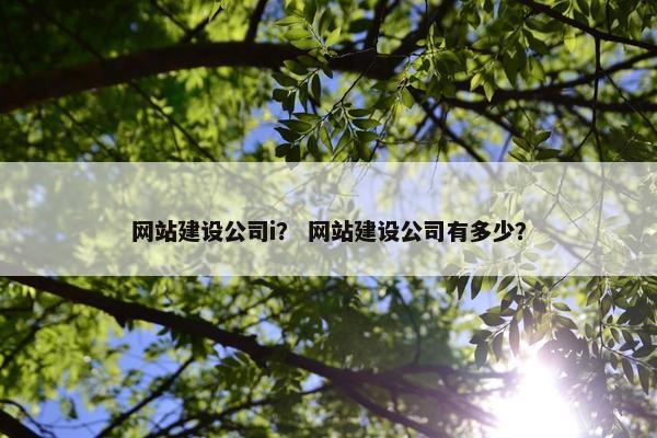 网站建设公司i？ 网站建设公司有多少？