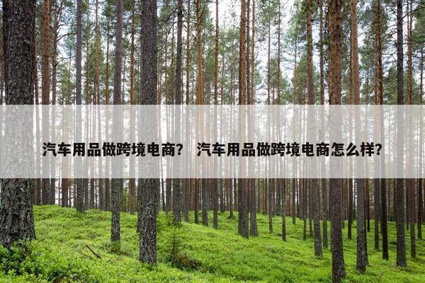汽车用品做跨境电商？ 汽车用品做跨境电商怎么样？