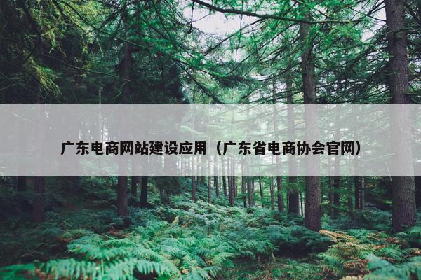 广东电商网站建设应用（广东省电商协会官网）