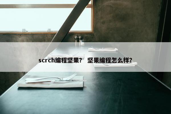 scrch编程坚果？ 坚果编程怎么样？