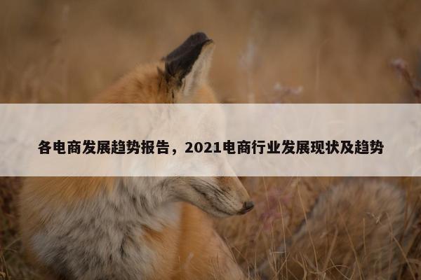 各电商发展趋势报告，2021电商行业发展现状及趋势