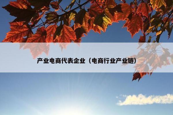 产业电商代表企业（电商行业产业链）
