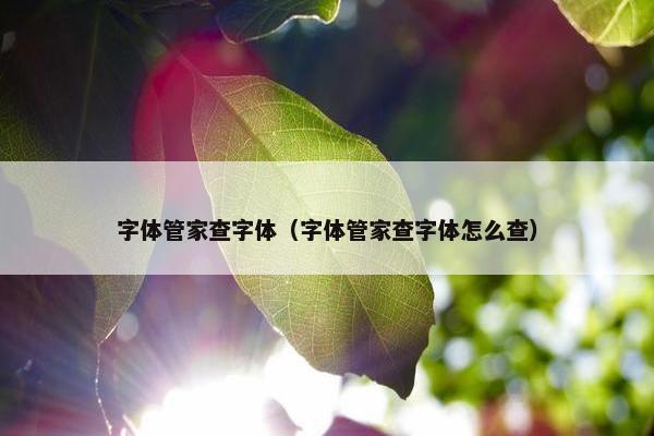 字体管家查字体（字体管家查字体怎么查）
