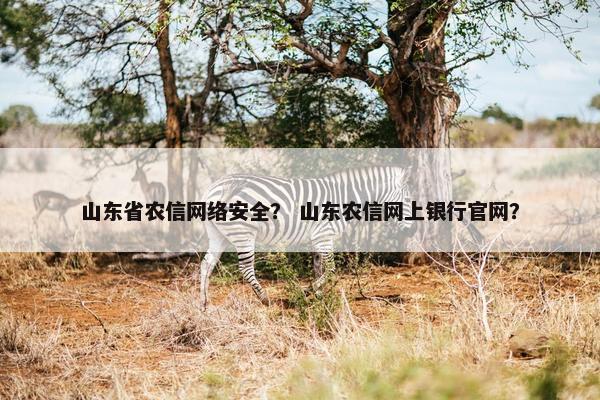 山东省农信网络安全？ 山东农信网上银行官网？