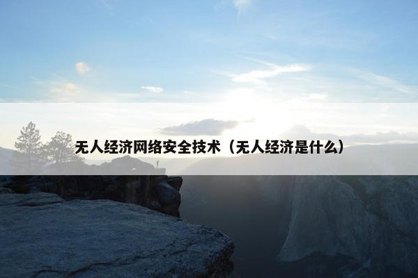 无人经济网络安全技术（无人经济是什么）