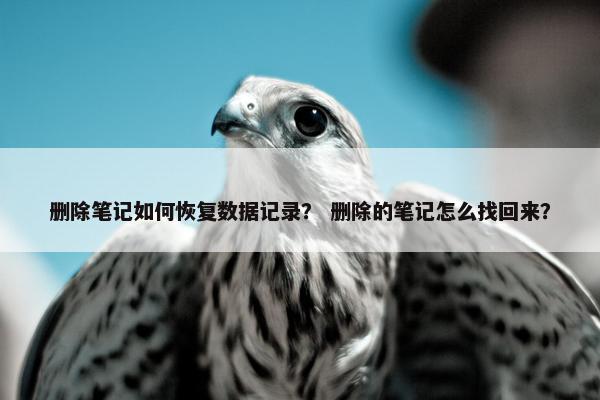 删除笔记如何恢复数据记录？ 删除的笔记怎么找回来？