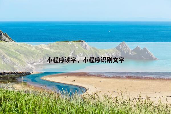 小程序读字，小程序识别文字