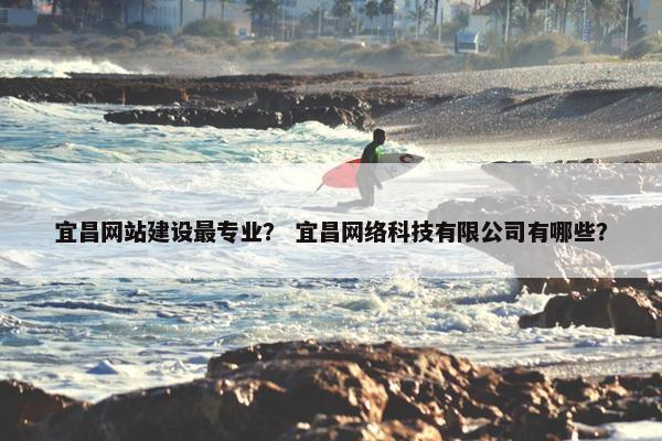 宜昌网站建设最专业？ 宜昌网络科技有限公司有哪些？