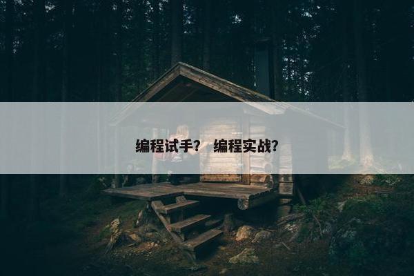 编程试手？ 编程实战？