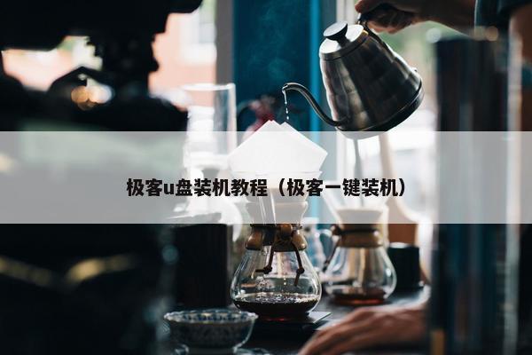 极客u盘装机教程（极客一键装机）