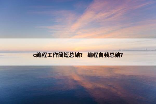 c编程工作简短总结？ 编程自我总结？