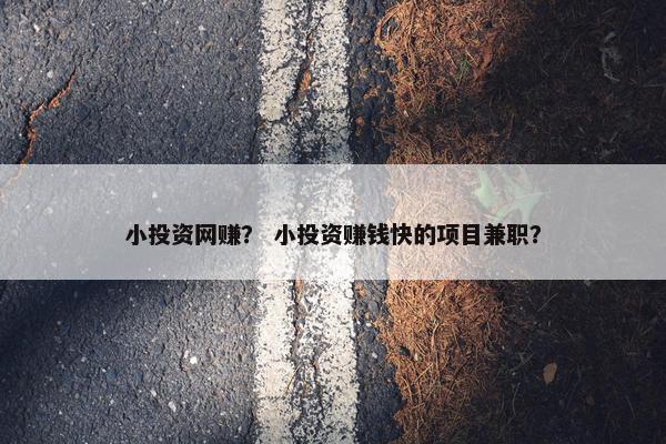 小投资网赚？ 小投资赚钱快的项目兼职？