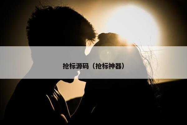 抢标源码（抢标神器）