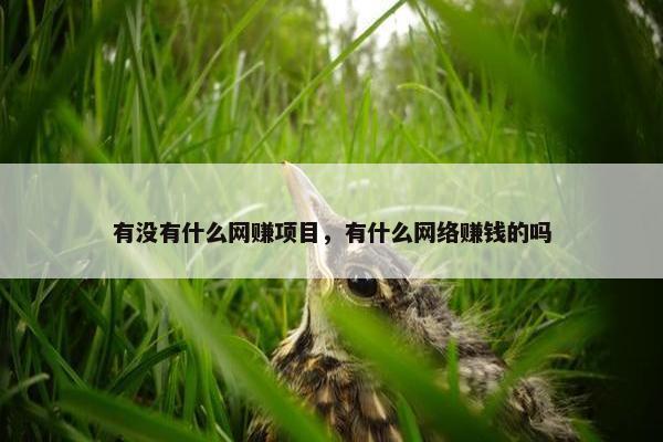 有没有什么网赚项目，有什么网络赚钱的吗