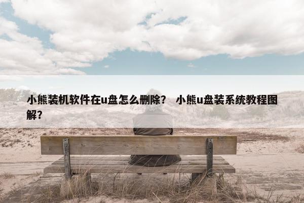 小熊装机软件在u盘怎么删除？ 小熊u盘装系统教程图解？