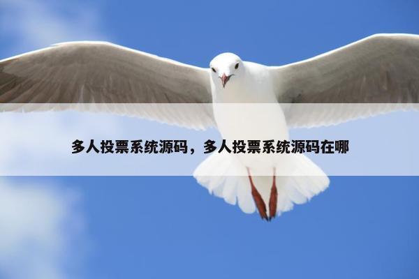 多人投票系统源码，多人投票系统源码在哪