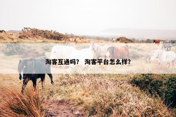 淘客互通吗？ 淘客平台怎么样？