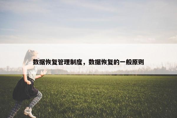 数据恢复管理制度，数据恢复的一般原则