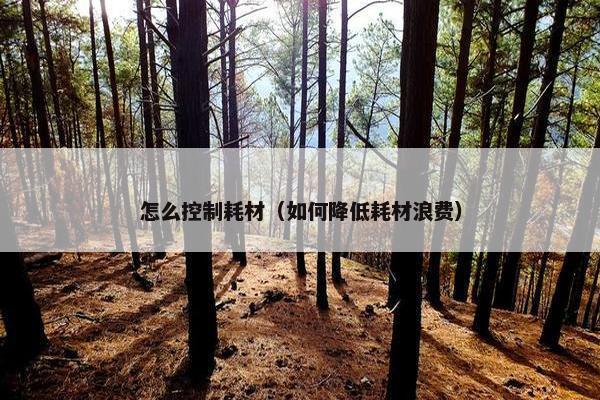 怎么控制耗材（如何降低耗材浪费）