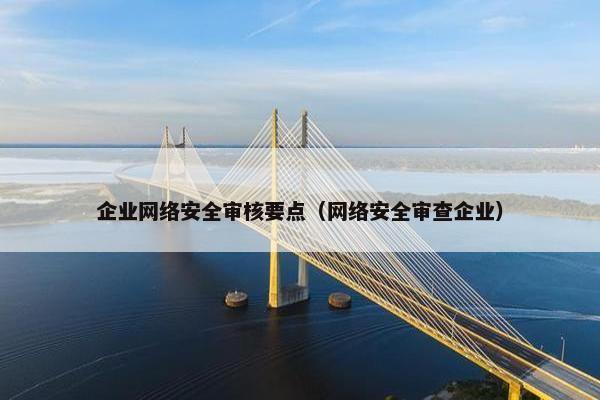 企业网络安全审核要点（网络安全审查企业）
