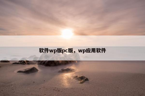 软件wp版pc版，wp应用软件