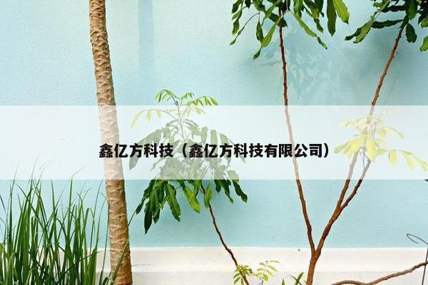 鑫亿方科技（鑫亿方科技有限公司）