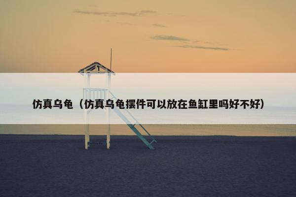 仿真乌龟（仿真乌龟摆件可以放在鱼缸里吗好不好）