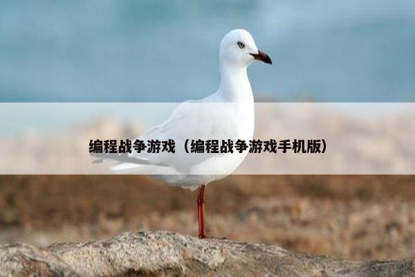 编程战争游戏（编程战争游戏手机版）