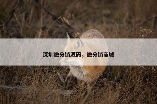 深圳微分销源码，微分销商城
