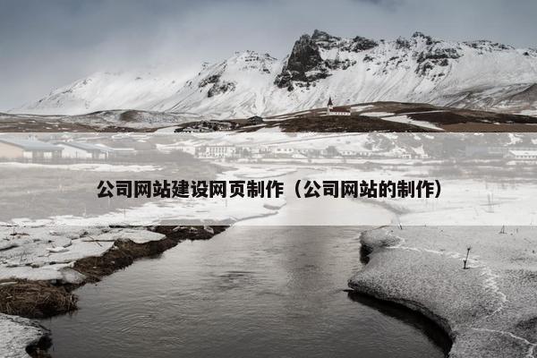 公司网站建设网页制作（公司网站的制作）