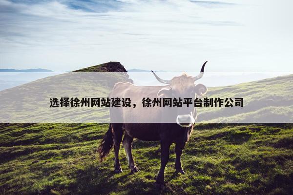 选择徐州网站建设，徐州网站平台制作公司