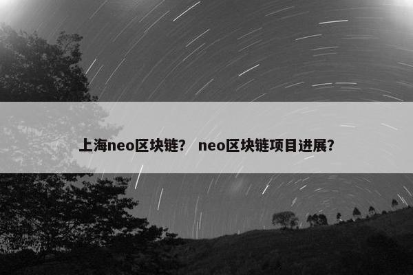 上海neo区块链？ neo区块链项目进展？