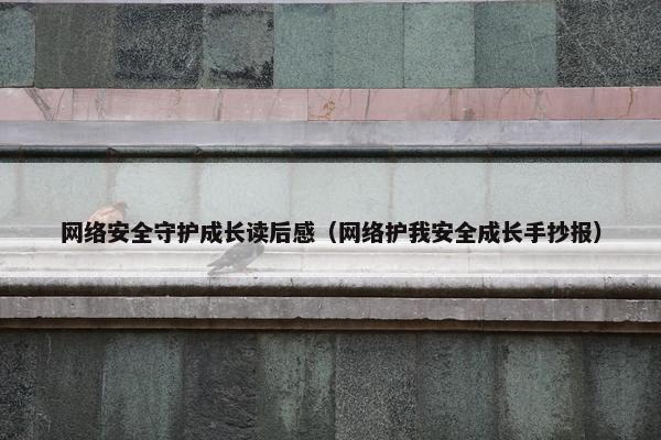 网络安全守护成长读后感（网络护我安全成长手抄报）
