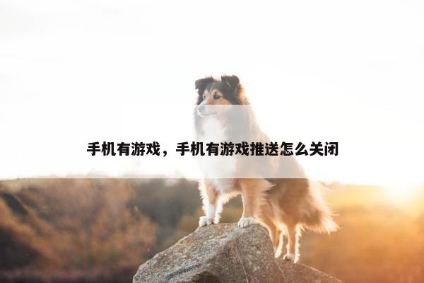 手机有游戏，手机有游戏推送怎么关闭