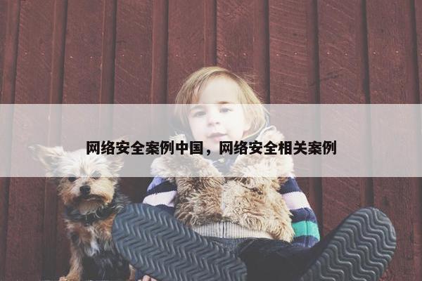 网络安全案例中国，网络安全相关案例