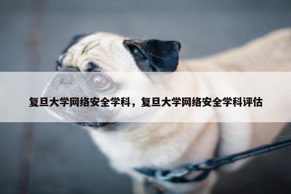 复旦大学网络安全学科，复旦大学网络安全学科评估