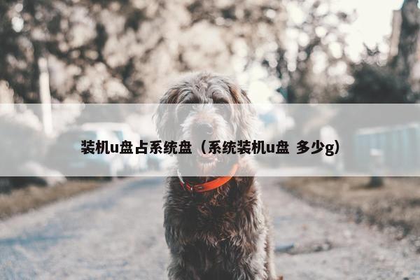 装机u盘占系统盘（系统装机u盘 多少g）