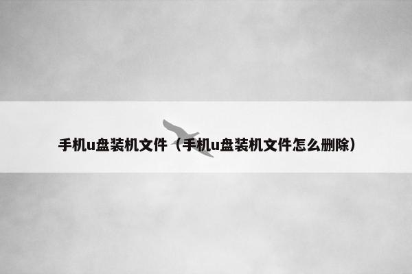 手机u盘装机文件（手机u盘装机文件怎么删除）