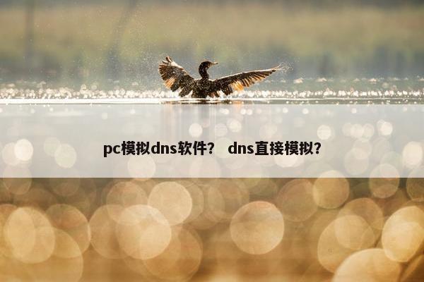 pc模拟dns软件？ dns直接模拟？